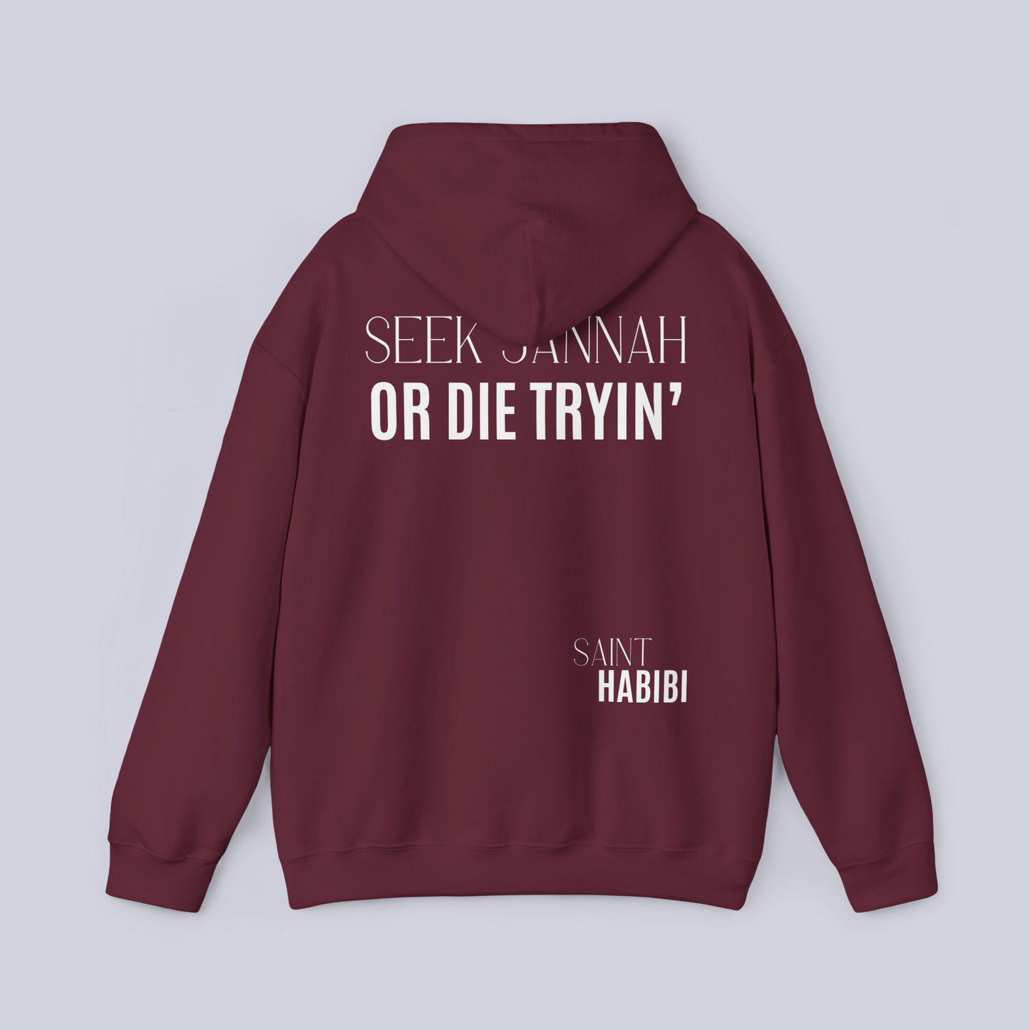 2.4. Seek Jannah: Hoodie